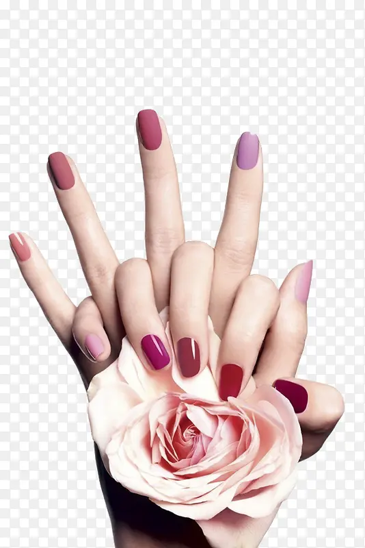 ����õ��-������