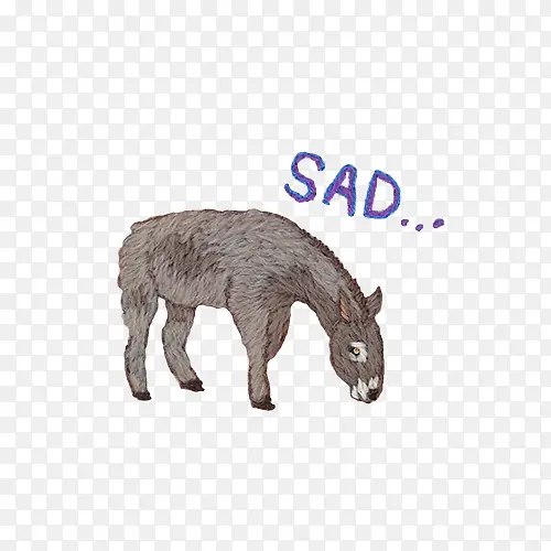 ˮ��С¿-������