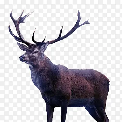 Ұ������-������