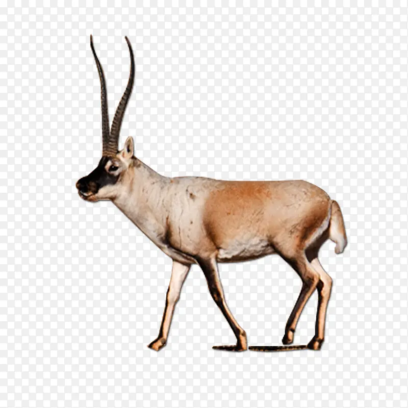 Ұ������-������