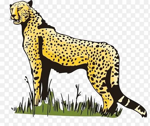 ��-������