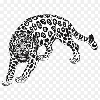 ��-������