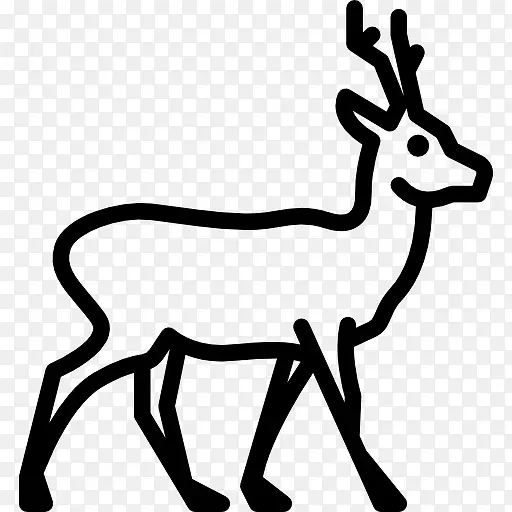 Roe ͼ��-������