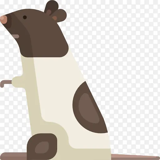 ����ͼ��-������