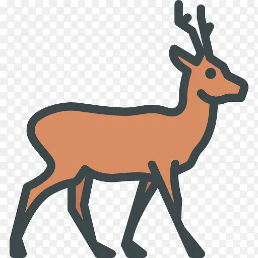 Roe ͼ��-������