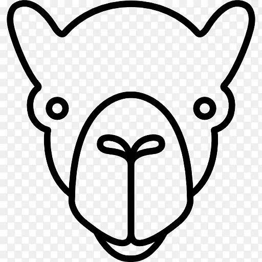 ����ͼ��-������