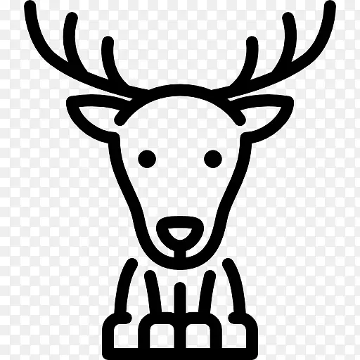 ¹ͼ��-������