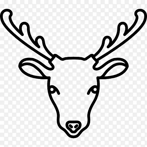 ¹ͼ��-������