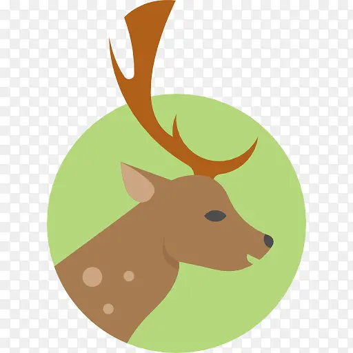 ¹ͼ��-������