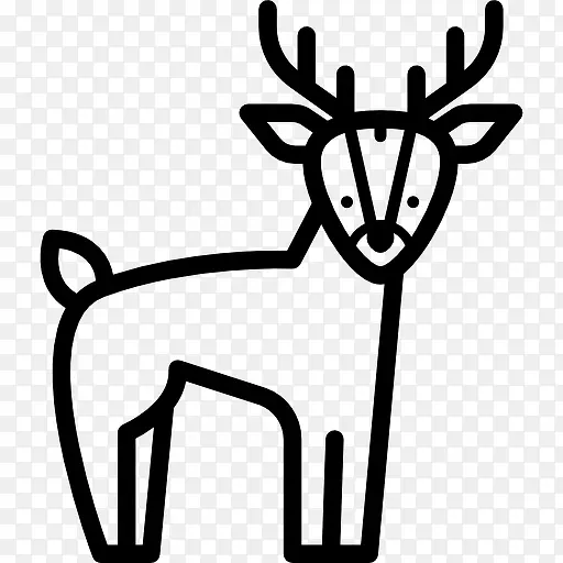 ¹ͼ��-������