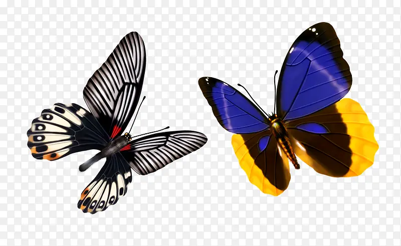 ��ֻ����-������