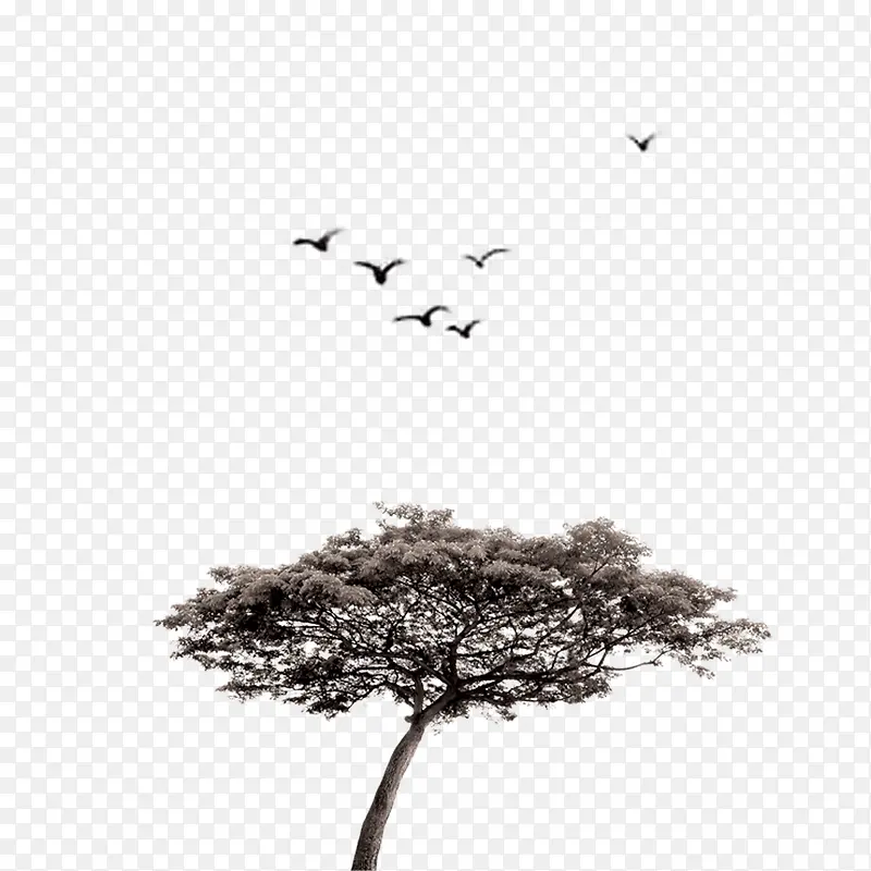 �����ز�ͼ-������