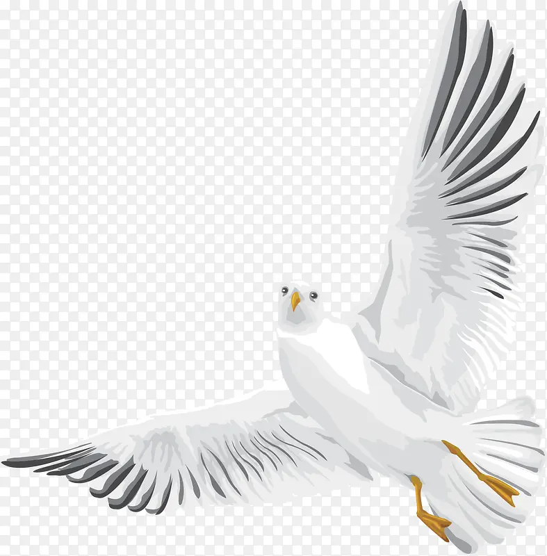 �ɰ���Ÿ�ز�-������