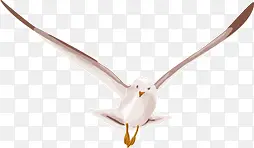 �ֻ溣Ÿ-������