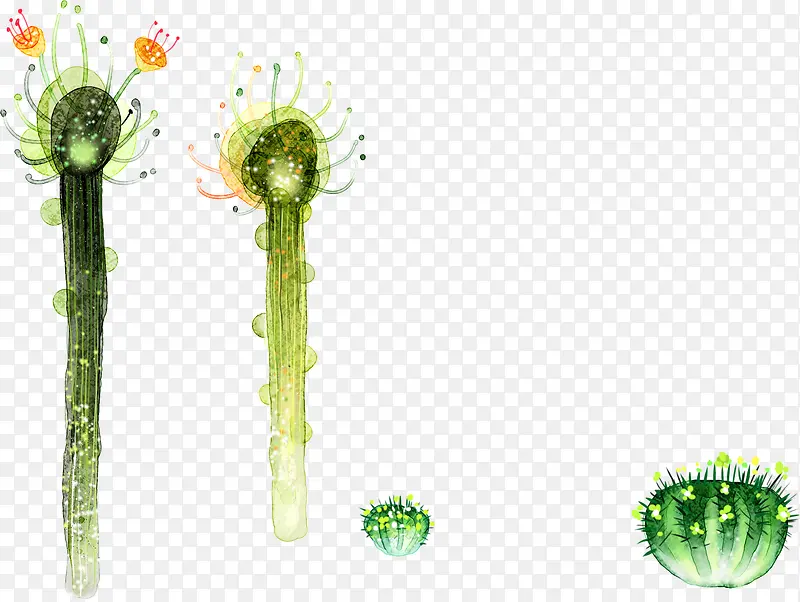 �ɰ���ɫΨ��������-������