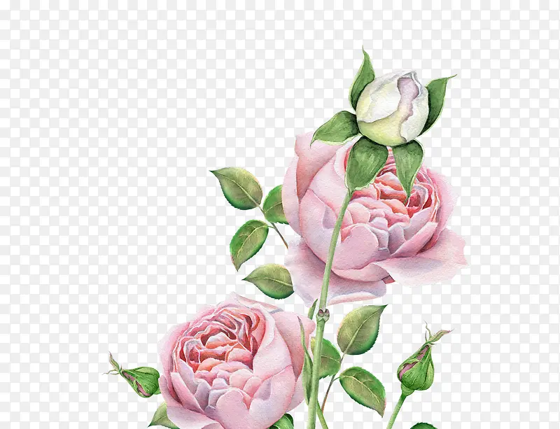 ˮ���ֻ�-������