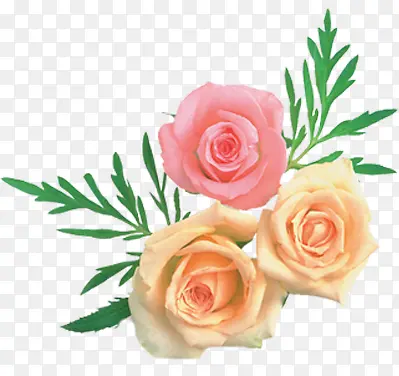 ��ɫˮ��õ�����-������