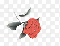 õ�廨ˮ��õ�廨-������