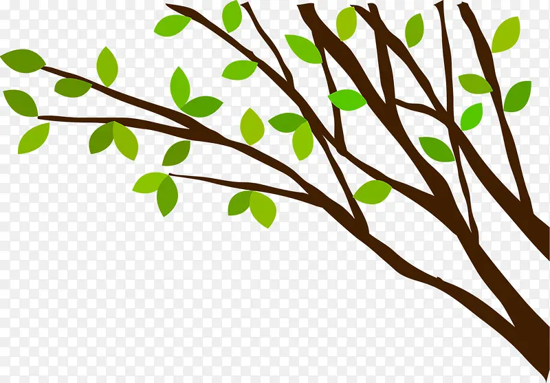 ���⺣����֦Ч��-������