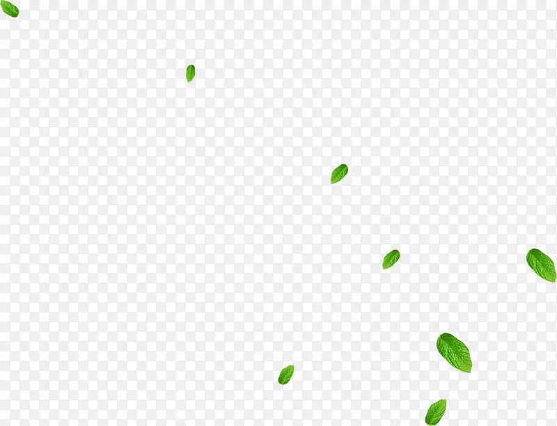 ��ͨ����ɰ���Ҷ-������