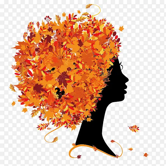 ������Ҷ����-������