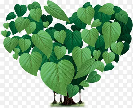 ��Ҷ�������Ͱ���-������