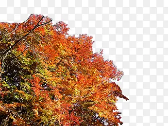 ������Ӱ�����羰��������-������