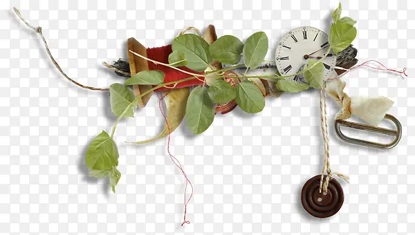 ������������Ʒ��֦-������