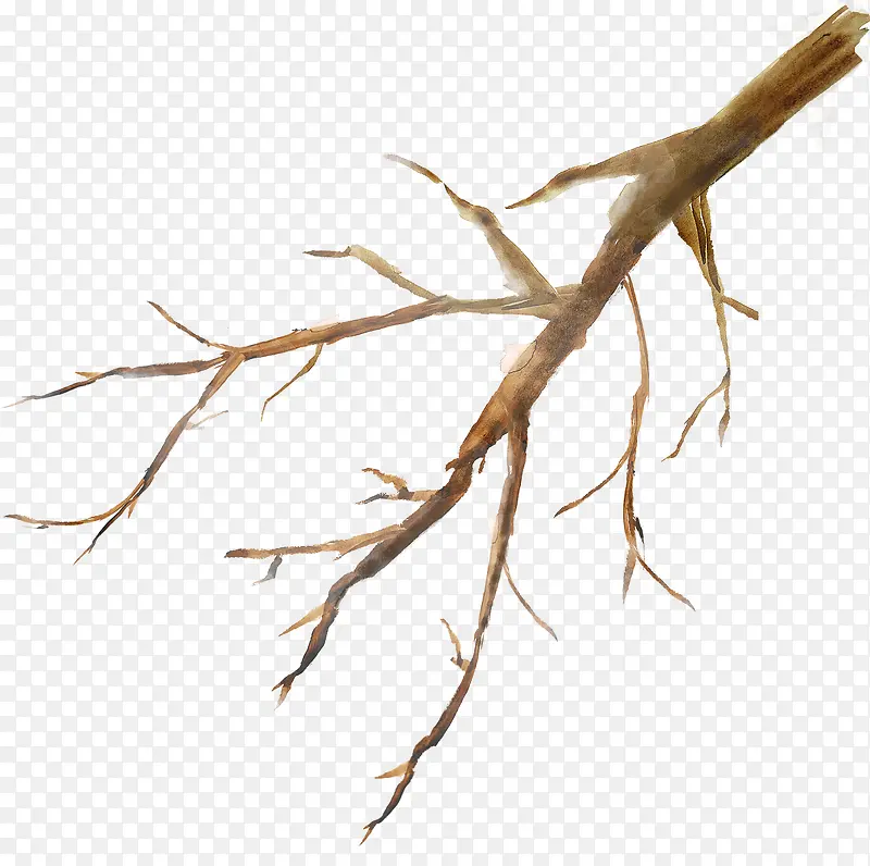 ��ʽ��֦�������-������