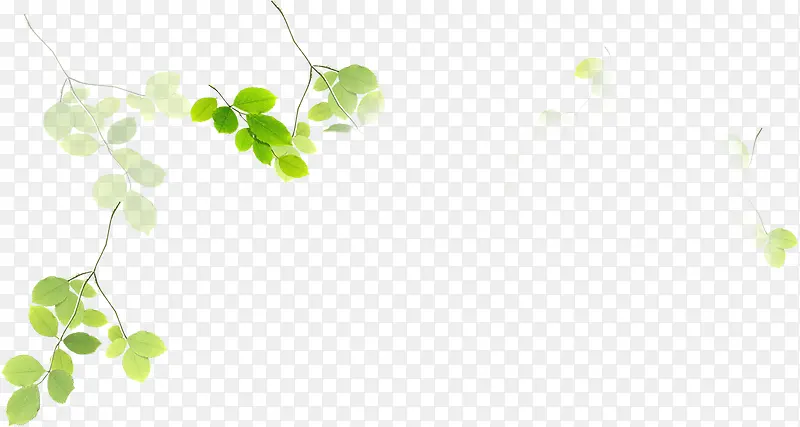 ��֦�����������-������