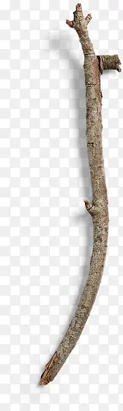 �ɿ�ָ�ڴ�����֦-������