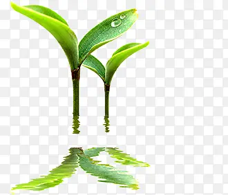 ���崴����Ӱ�ϳ�С����-������