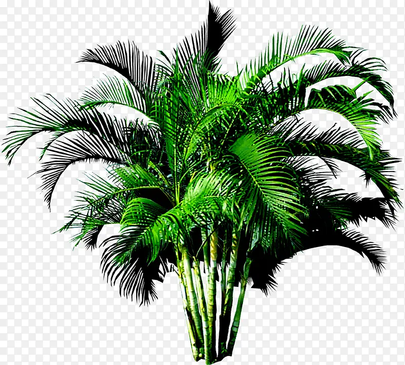 ���崴����ɫ�����-������