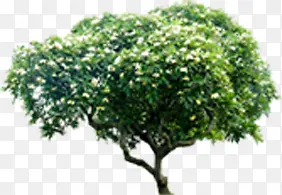 ����Ԫ����Ӱ�ϳɹ���-������