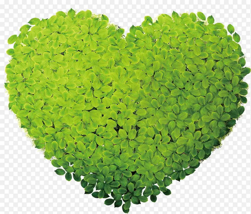 ���Ĵ�����Ҷ����-������