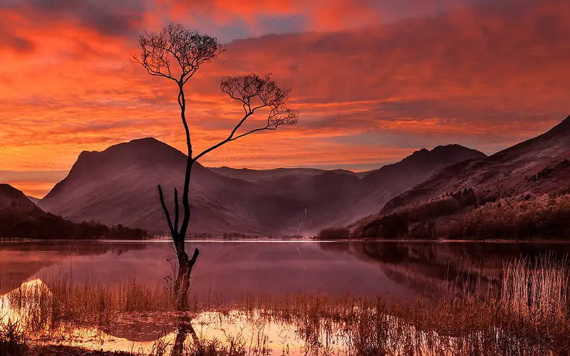 ���ո�ɽ�¶�С��-������