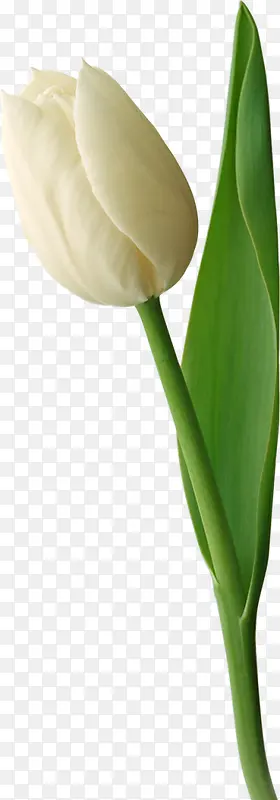 ��ɫ������-������