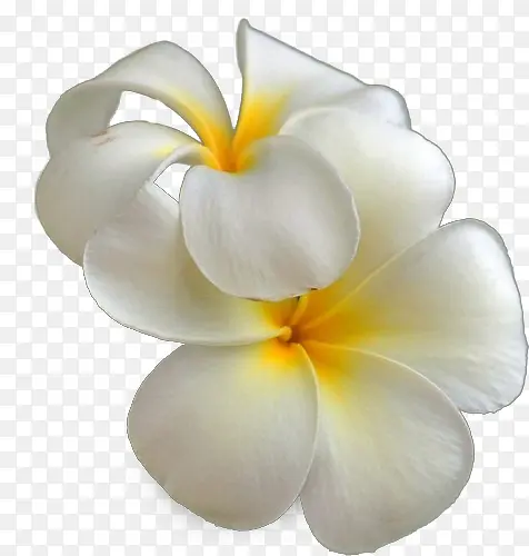 ��ɫ������ͼƬ-������