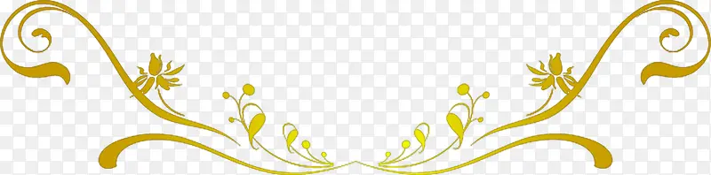 ŷʽ�Գƽ�ɫ����-������