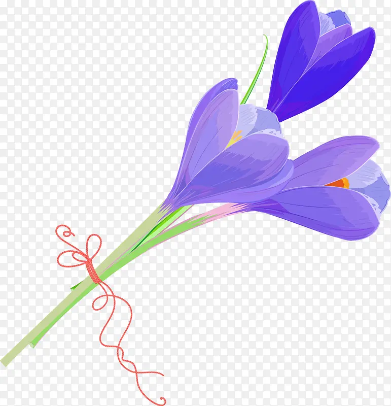 �ֻ�������ʸ��ͼ-������