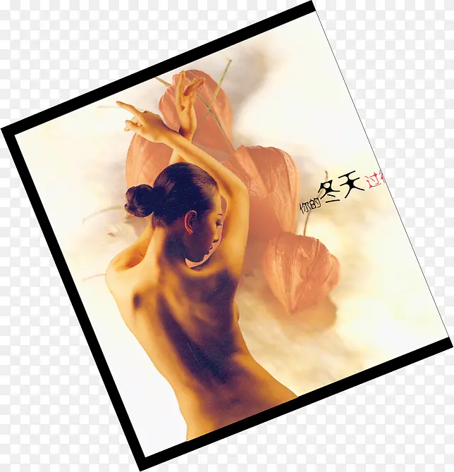 �����޿�Ƭ���ͼƬ-������