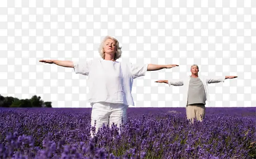 ޹�²�԰-������