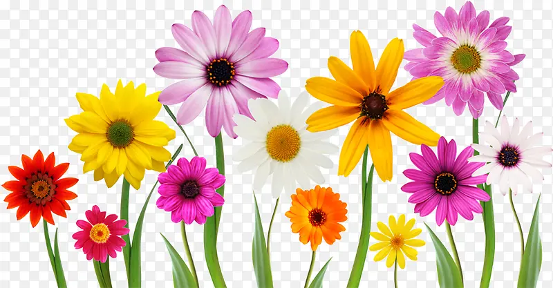 ��ɫС����԰װ��-������