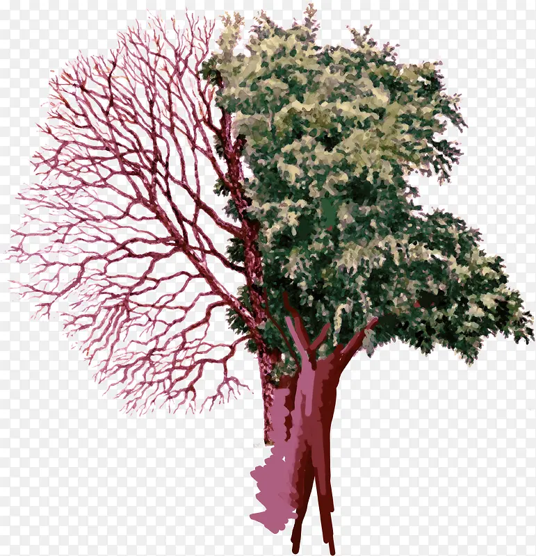 �ֻ�ˮ����ƻ�԰-������