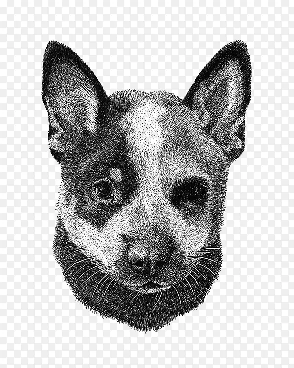 �ֻ涯��-������