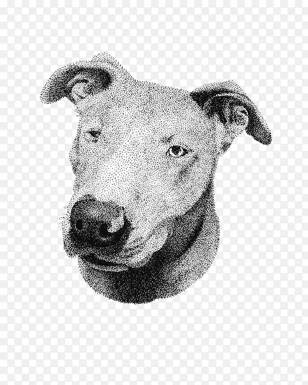 �ֻ涯��-������