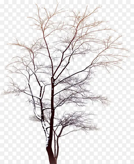 ������ɪ��֦����-������