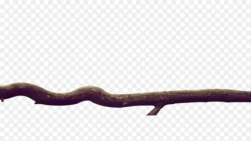 ������ɪ�����֦-������