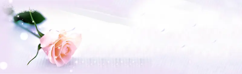 ������ܰõ�廨����banner-������