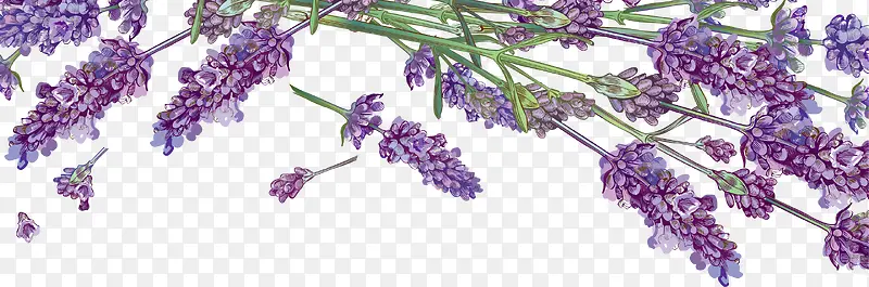 ��ɫ����޹�²�װ��ͼ��-������